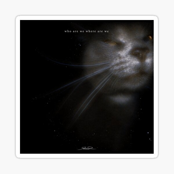 Cosmic Cat IV — "Who Are We Where Are We" Collection Sticker