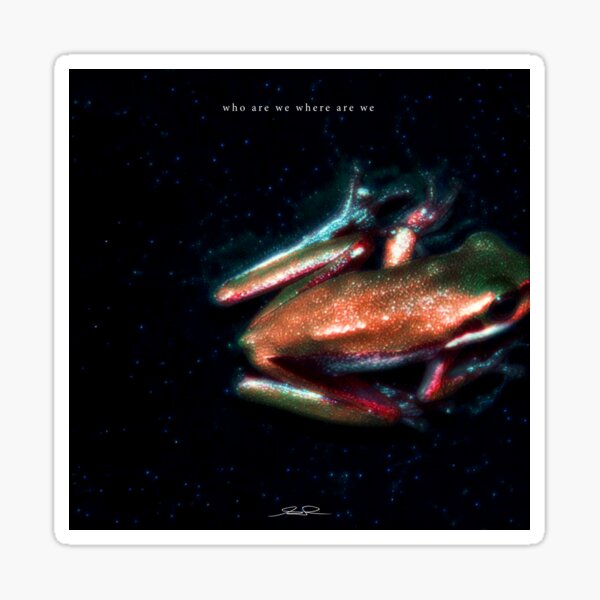 Cosmic Treefrog — "Who Are We Where Are We" Collection Sticker
