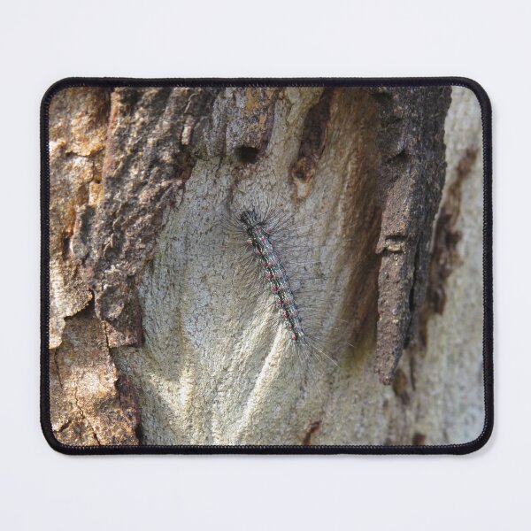 Item preview, Clouded footman caterpillar designed and sold by greentiger1.