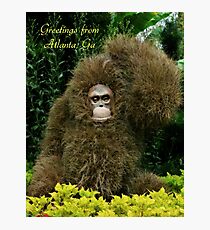 Greetings From Atlanta, Ga. Photographic Print