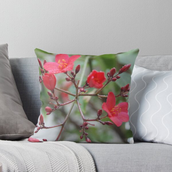 Item preview, Simply Red; Blooming Tree in Wat Garden; La Mirada, CA USA designed and sold by leih2008.