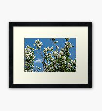 Summer Flowers Framed Print