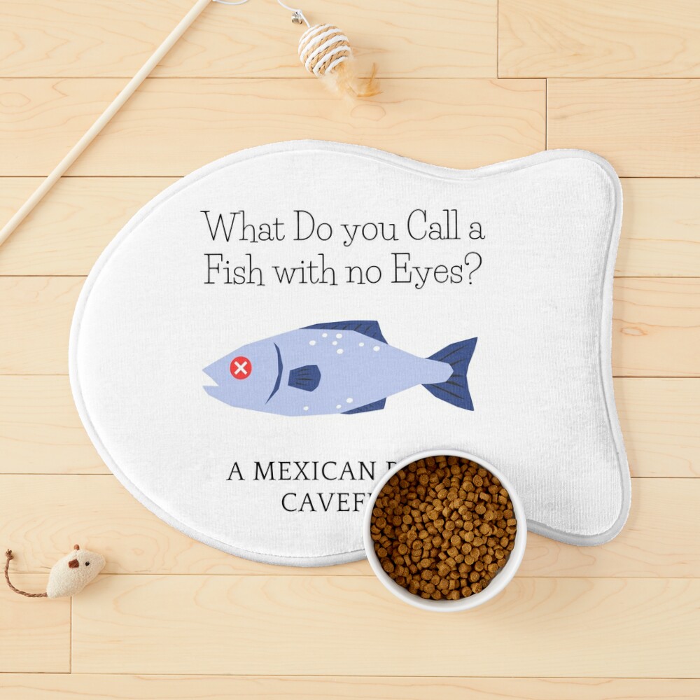 What Do you call a Fish with no Eyes? | Poster