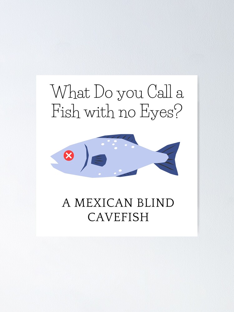 What Do you call a Fish with no Eyes? | Poster
