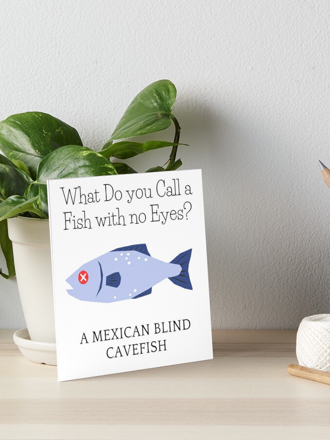 What Do you call a Fish with no Eyes? | Poster