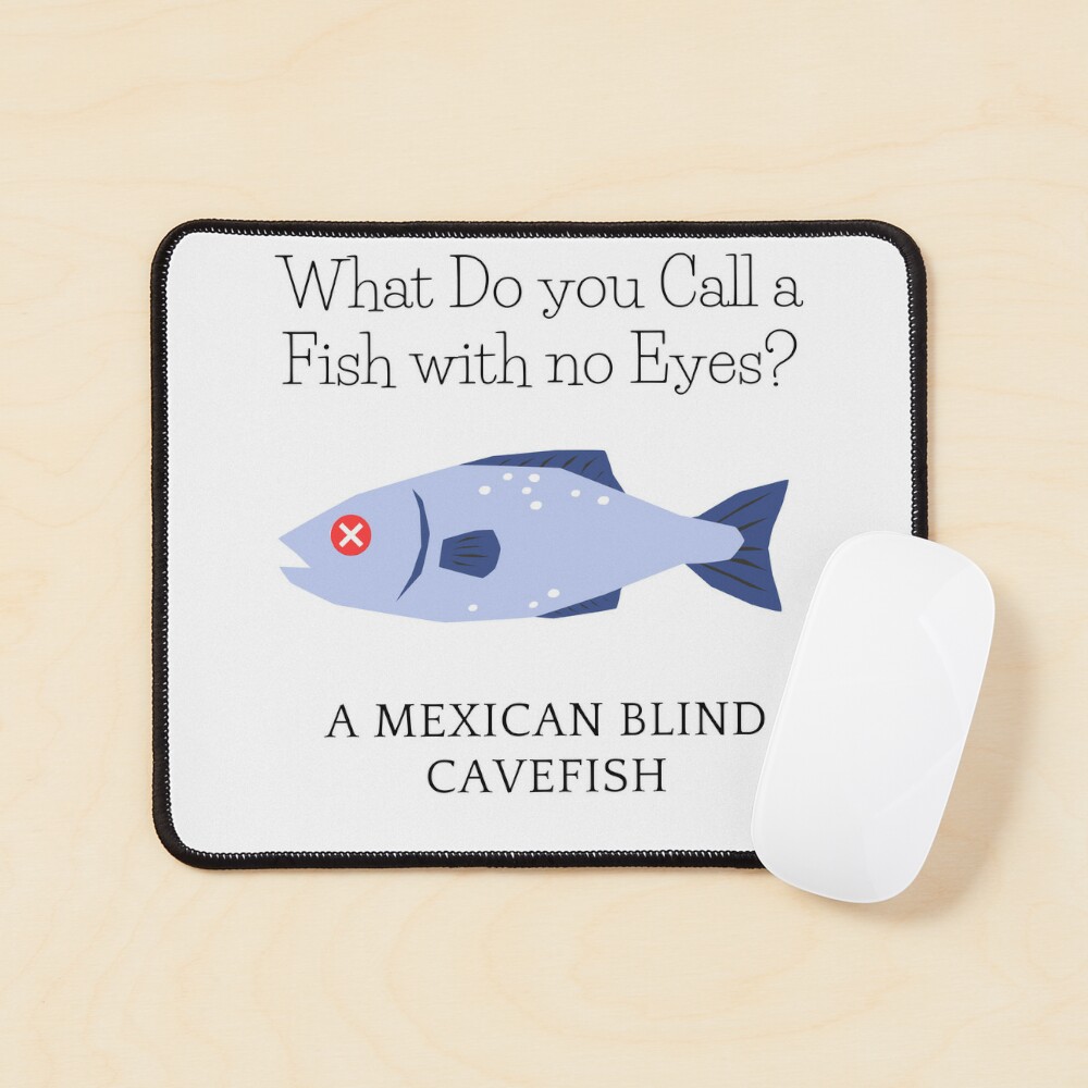 What Do you call a Fish with no Eyes? | Poster