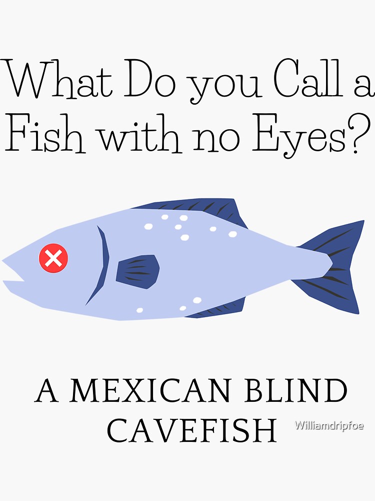 What Do you call a Fish with no Eyes?&rdquo; Sticker for Sale by 