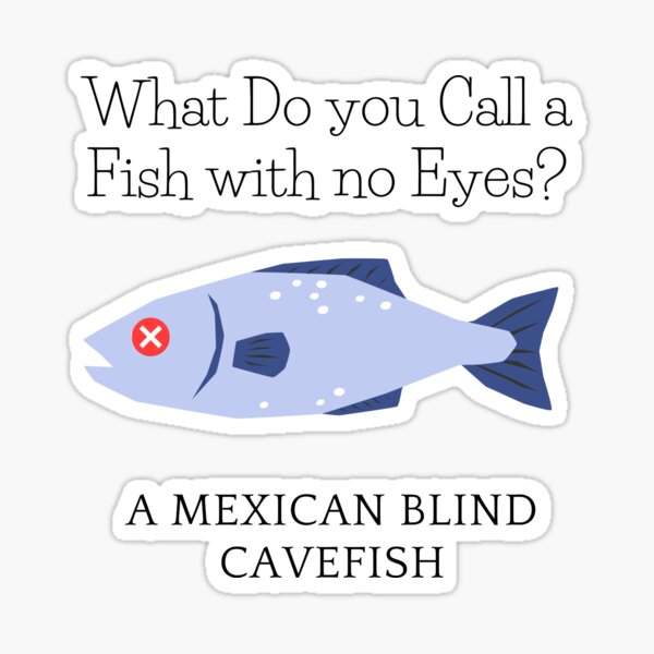 What Do you call a Fish with no Eyes?&quot; Sticker for Sale by 