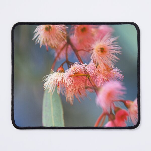 Item preview, Soft Pink Eucalyptus Flowers designed and sold by Joy Watson - Natural Light Photography .