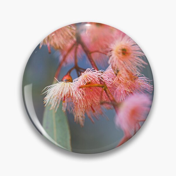 Item preview, Soft Pink Eucalyptus Flowers designed and sold by Joy Watson - Natural Light Photography .