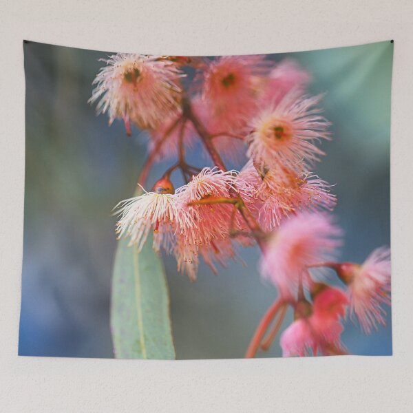 Item preview, Soft Pink Eucalyptus Flowers designed and sold by Joy Watson - Natural Light Photography .