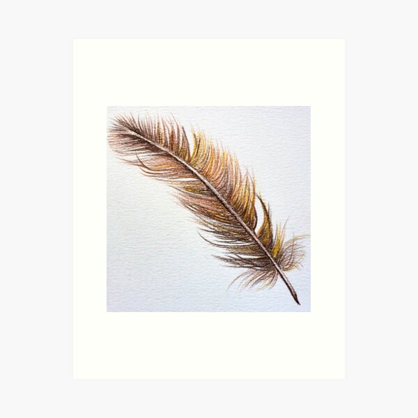 Brown feather Art Print