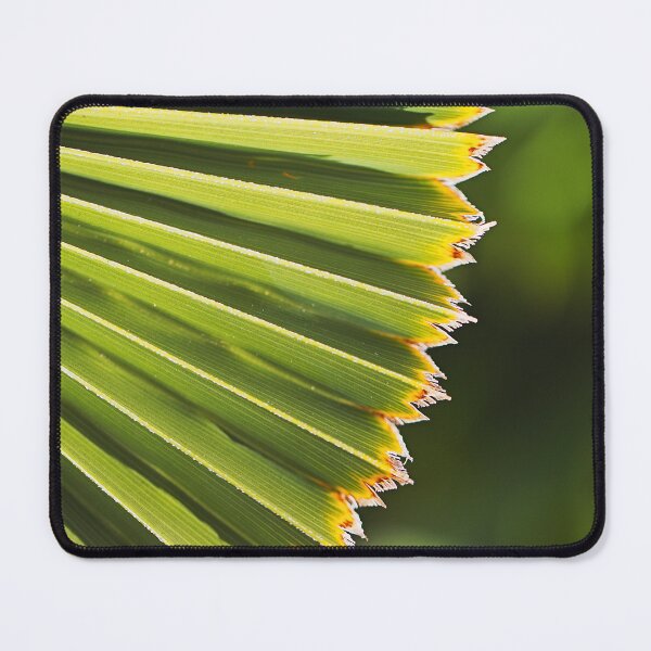 Item preview, Fan Palm Of Greens designed and sold by Joy Watson - Natural Light Photography .