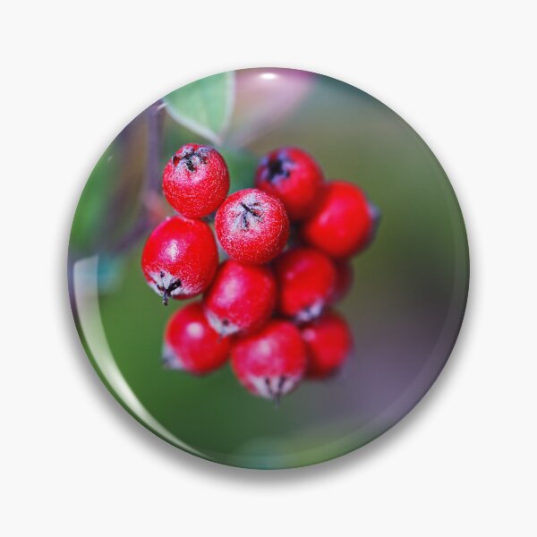 Item preview, Red Berry In Cluster designed and sold by Joy Watson - Natural Light Photography .