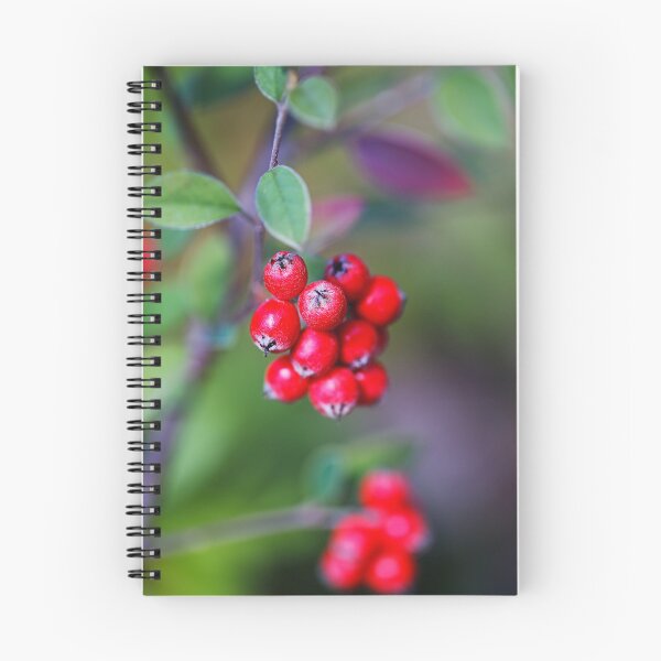 Item preview, Red Berry In Cluster designed and sold by Joy Watson - Natural Light Photography .