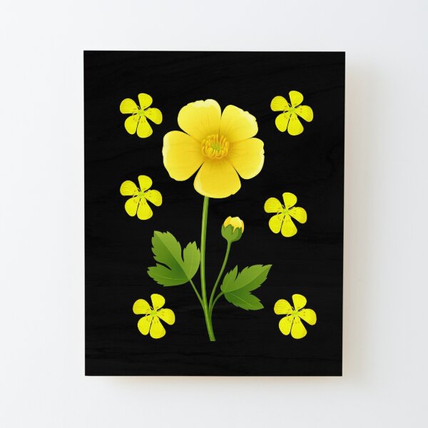 Buttercup Flowers Watercolor Wall Art Print Meadow Buttercups