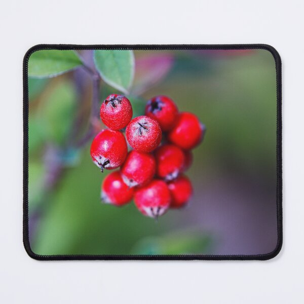 Item preview, Red Berry In Cluster designed and sold by Joy Watson - Natural Light Photography .