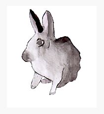 Aquarell Kaninchen Fotodruck