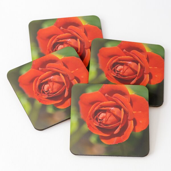 Item preview, Radiant And Red Rose  designed and sold by Joy Watson - Natural Light Photography .