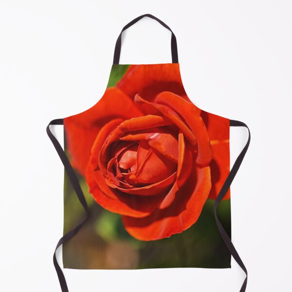 Item preview, Radiant And Red Rose designed and sold by Joy Watson - Natural Light Photography .