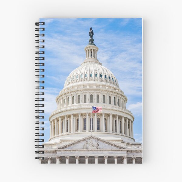 Item preview, US Capitol Dome designed and sold by Leslie Banks.
