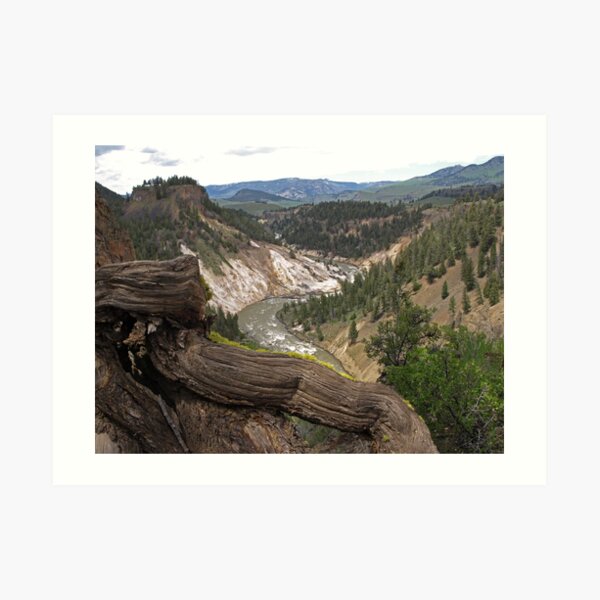 Grand Canyon of Yellowstone Art Print