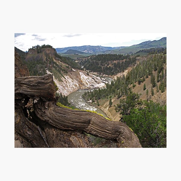 Grand Canyon of Yellowstone Photographic Print