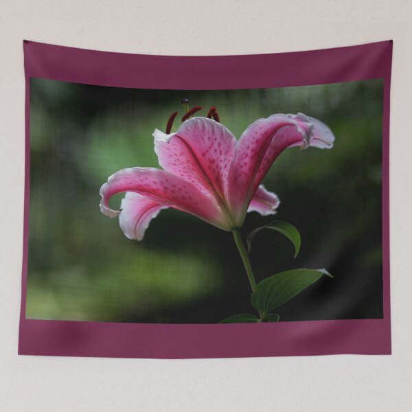 Item preview, Stargazer Lily - In the Shadows designed and sold by T.J. Martin.