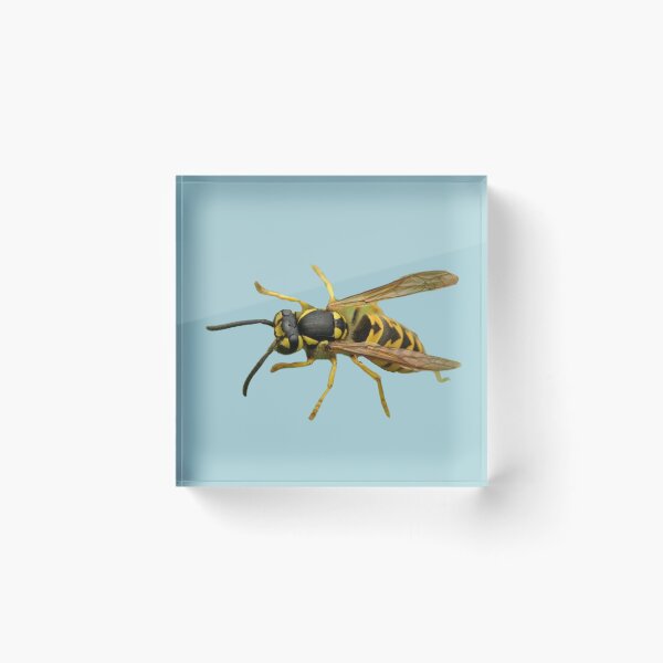 Item preview, Marvelous Wasp designed and sold by RainbowSpinkle.