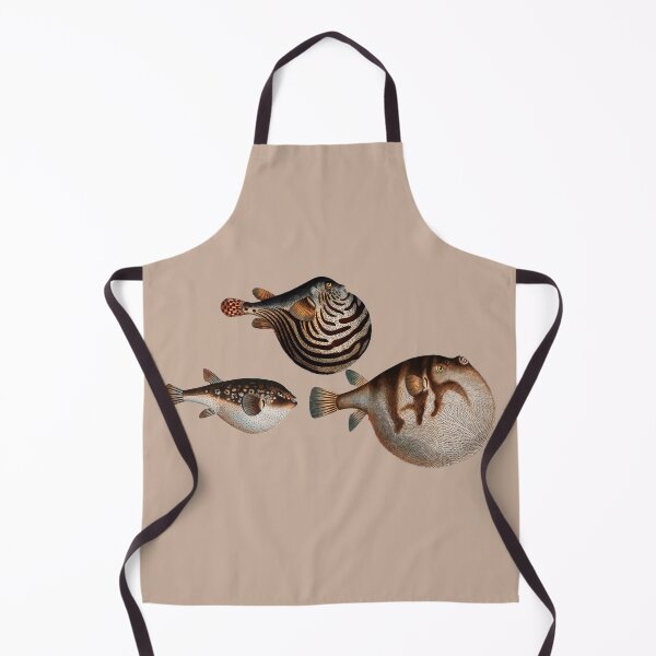 Item preview, Vintage fish illustration x3 Tetrodon fish by Marcus Elieser Bloch - digitally enhanced designed and sold by Corinne Alexa Jackson.