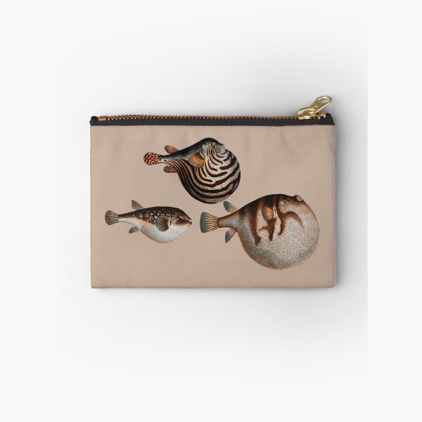 Item preview, Vintage fish illustration x3 Tetrodon fish by Marcus Elieser Bloch - digitally enhanced designed and sold by Corinne Alexa Jackson.