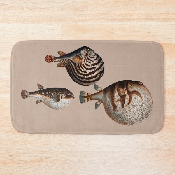 Item preview, Vintage fish illustration x3 Tetrodon fish by Marcus Elieser Bloch - digitally enhanced designed and sold by Corinne Alexa Jackson.