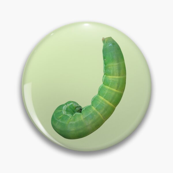 Item preview, Bizarre Caterpillar designed and sold by RainbowSpinkle.