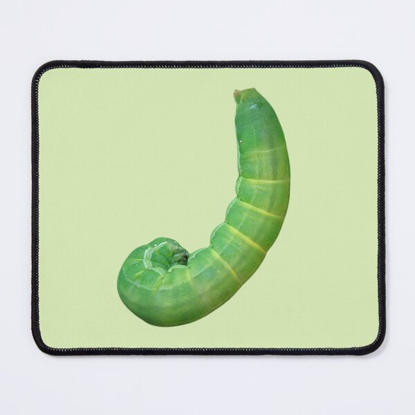 Item preview, Bizarre Caterpillar designed and sold by RainbowSpinkle.