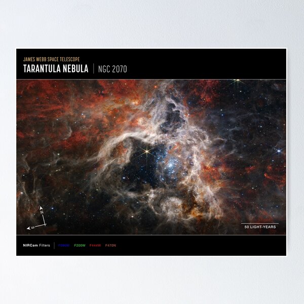 Item preview, James Webb Space Telescope Tarantula Nebula (NIRCam Compass Image) designed and sold by bolkibox.