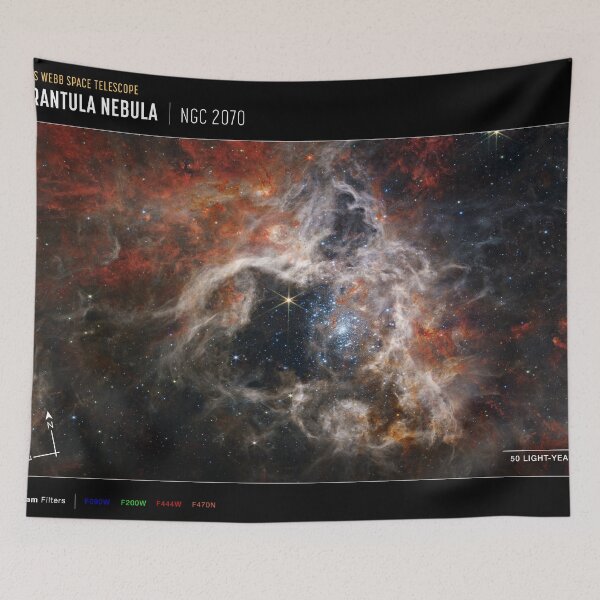 Item preview, Nebulosa de la Tarántula del telescopio espacial James Webb (imagen de la brújula de NIRCam) designed and sold by bolkibox.