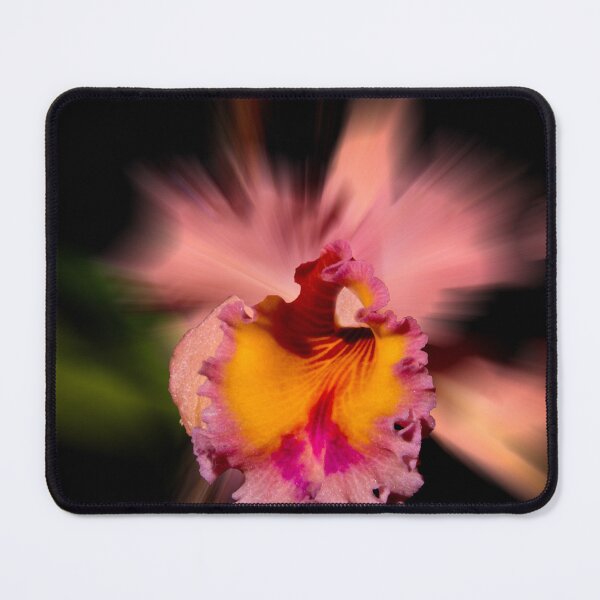 Item preview, Apricot orchid designed and sold by indiafrankk.