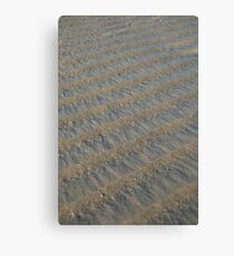 Beach Ridges Canvas Print