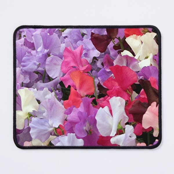 Item preview, Sweet peas flowers in bloom designed and sold by FranWest.
