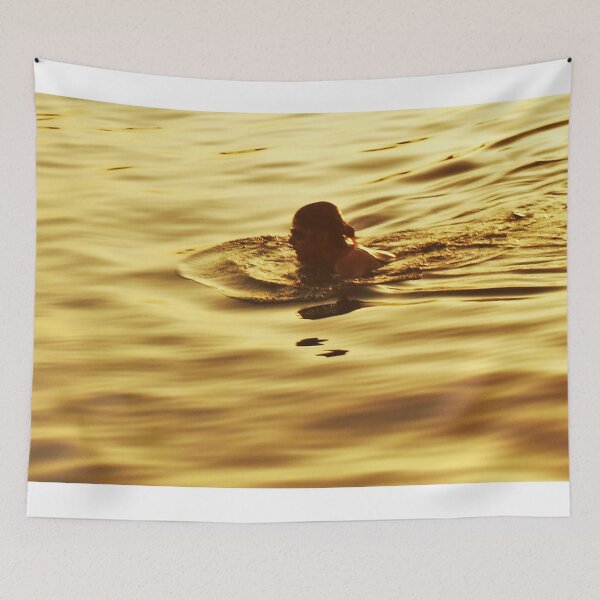 Item preview.
