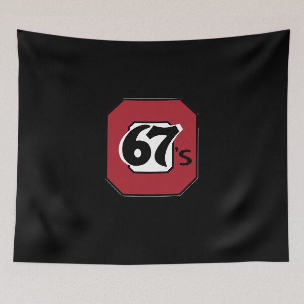 Item preview, Ottawa 67&x27;s club Essential T Shirt  designed and sold by RachelEntremon.
