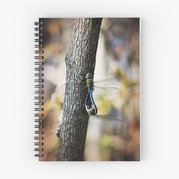Item preview, Dragonflies Need Love Too designed and sold by dahlymama.