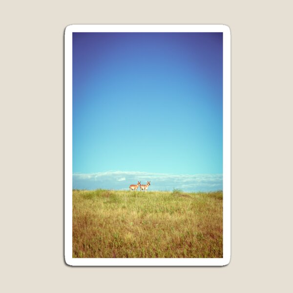 Badlands Antelope Magnet