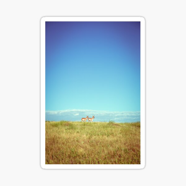 Badlands Antelope Sticker