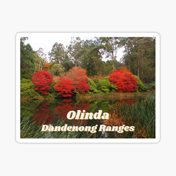 Item preview, Olinda Sticker designed and sold by Zoë Preston.