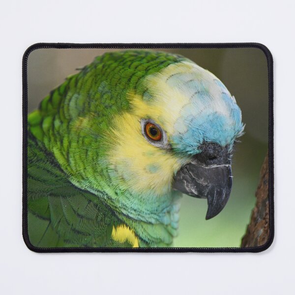 Item preview, Sweet Yellow Headed Amazon Parrot designed and sold by richardbryce.