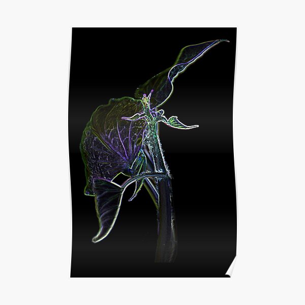 The Otherworldly Botanicals Poster