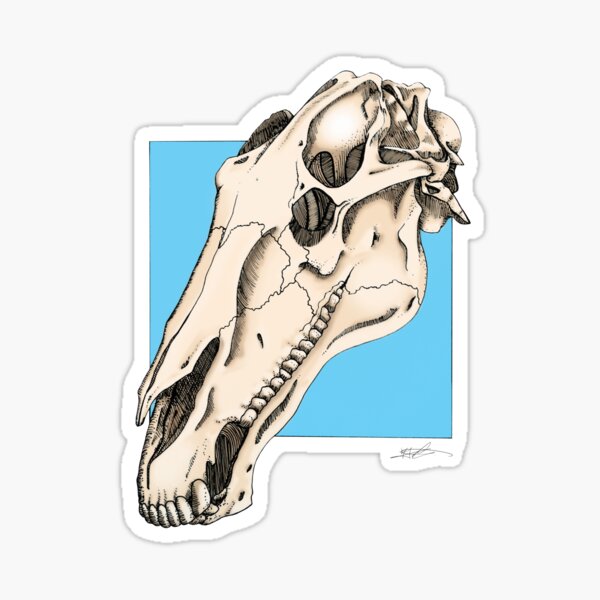 Horse Skull Sticker