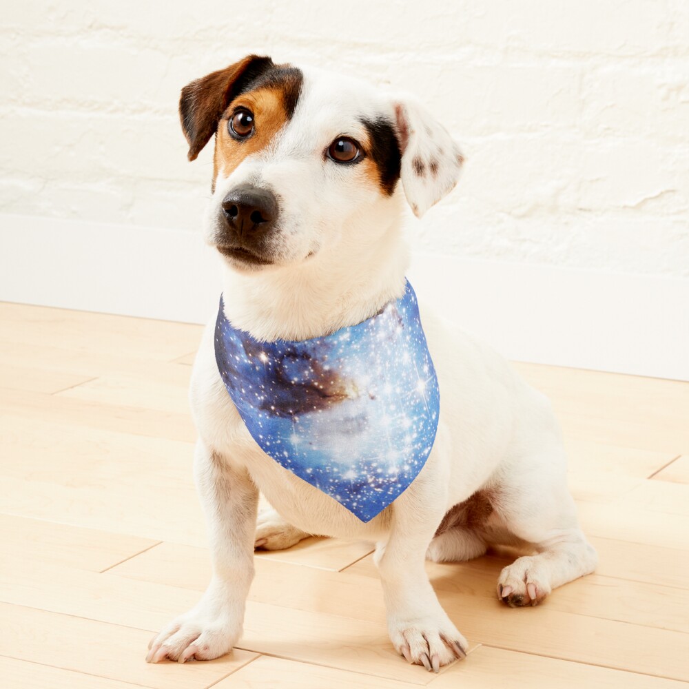 Item preview, Pet Bandana designed and sold by rapplatt.