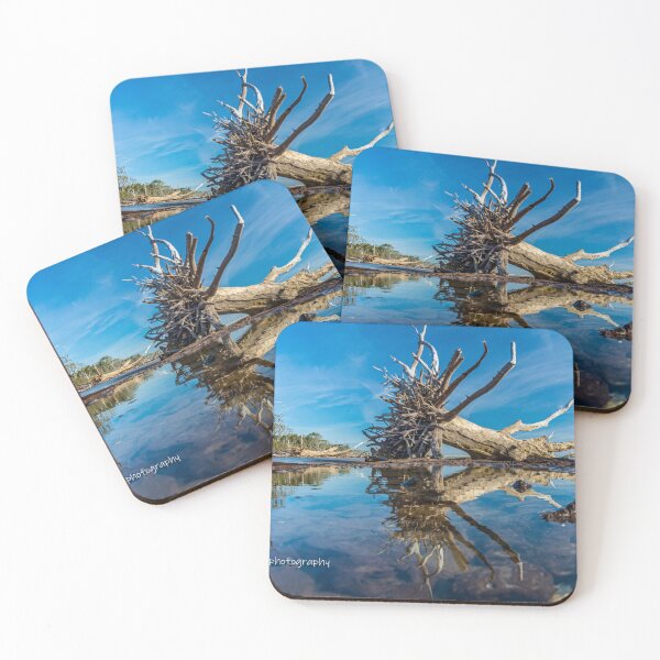 Item preview, Big Talbot State Park Reflection designed and sold by johnlackphotos.